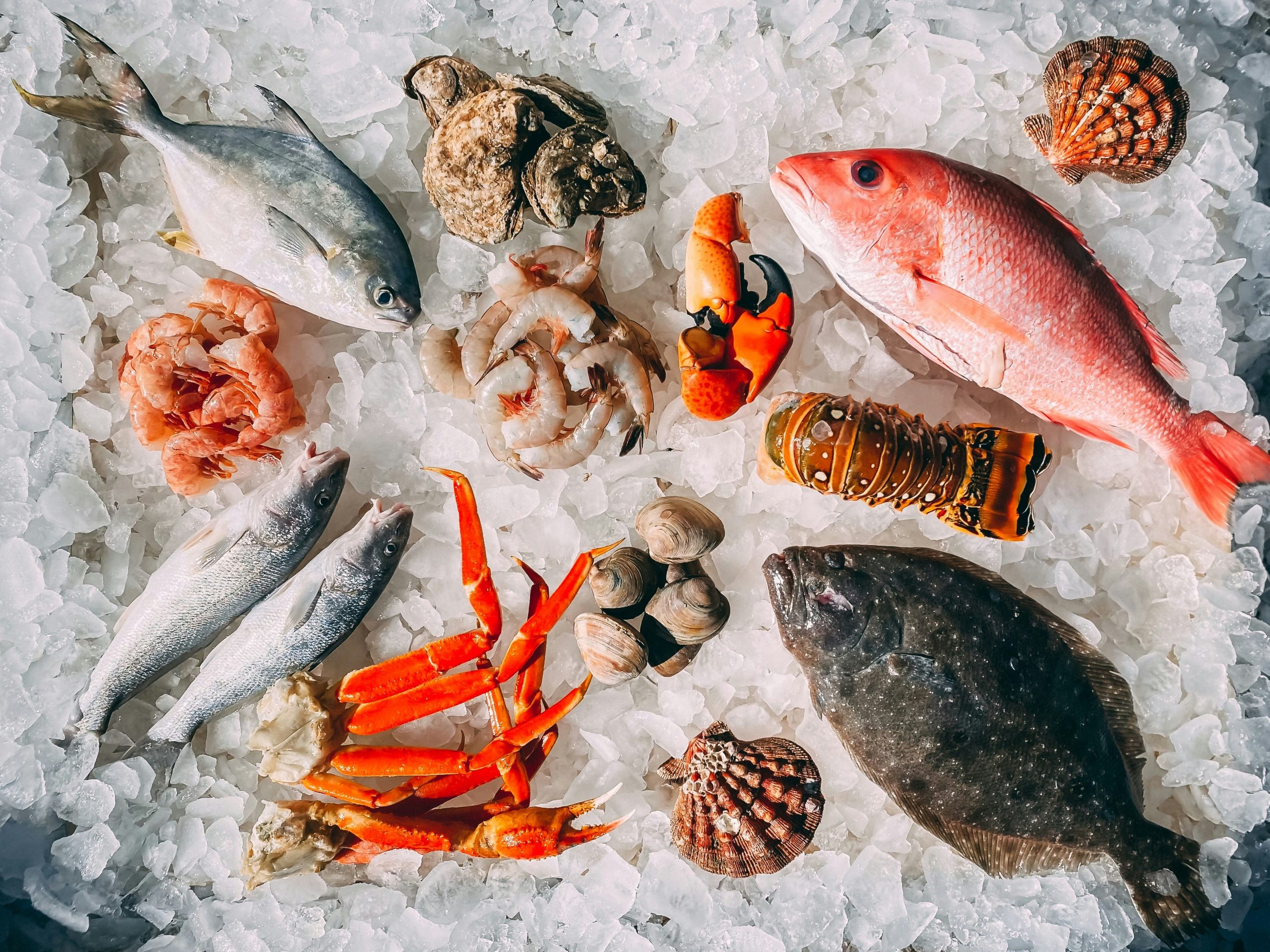 Global Perspectives on Sustainable Seafood Consumption