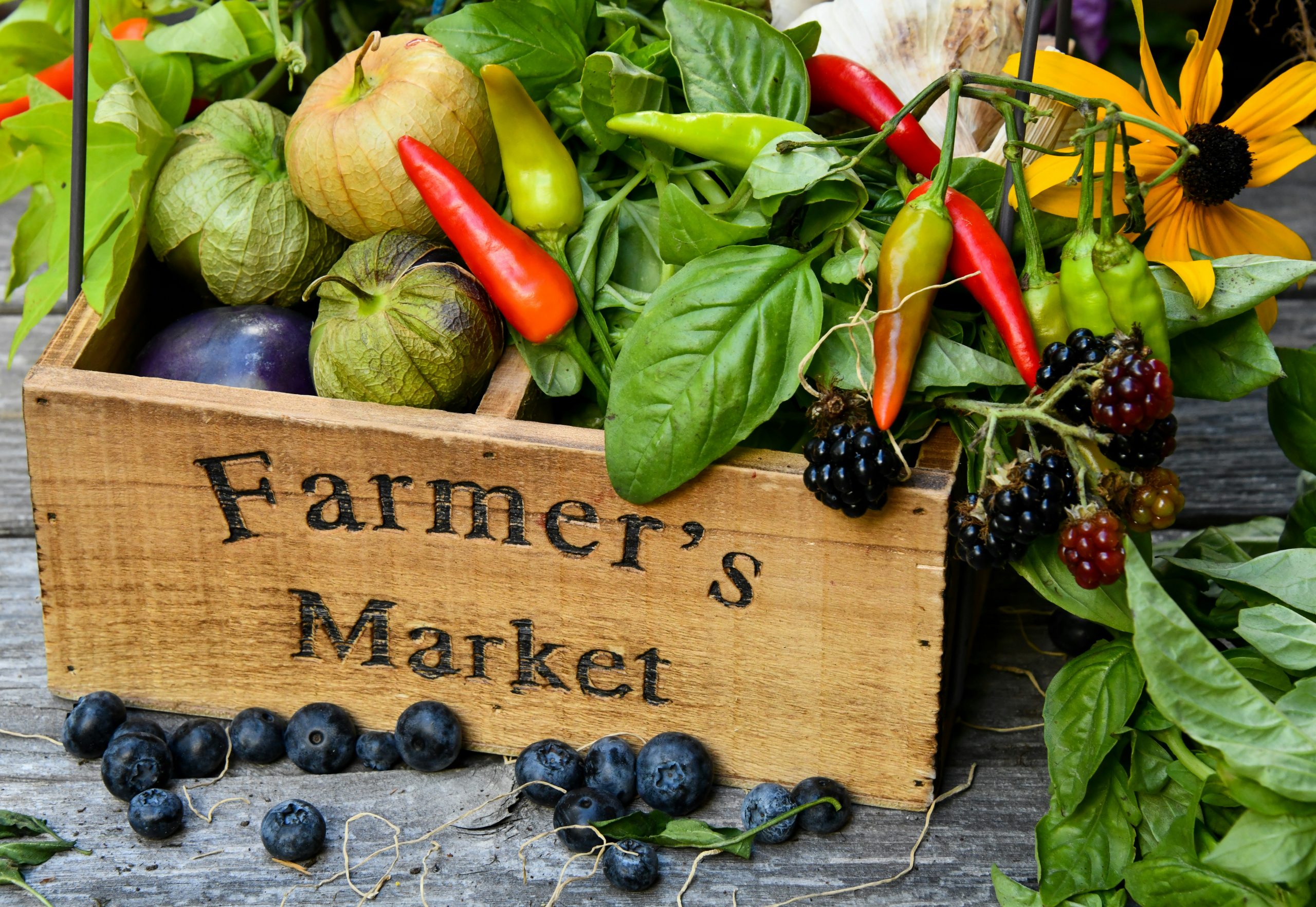 Farmers Markets Around the World: A Glimpse into Local Produce